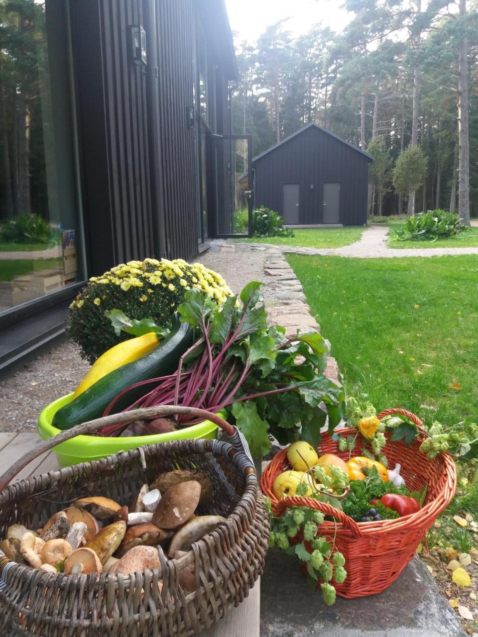 Hobekala Guesthouse Kalana Exterior photo